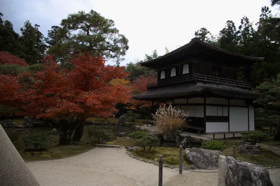 Before: Ginkaku-ji in Kyoto, the Silver Pavilion behind red maples, as the Nikon recorded it.