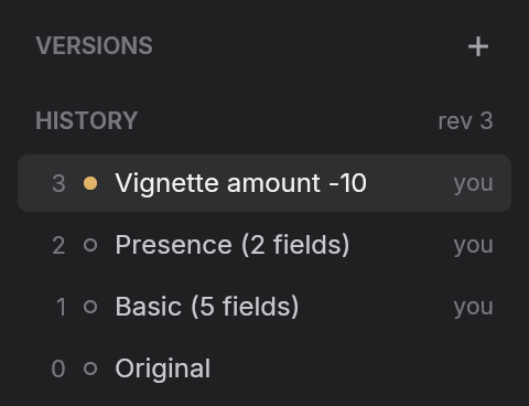 The history at rev 3: Vignette amount -10, Presence (2 fields) and Basic (5 fields), each by ‘you’, above Original.